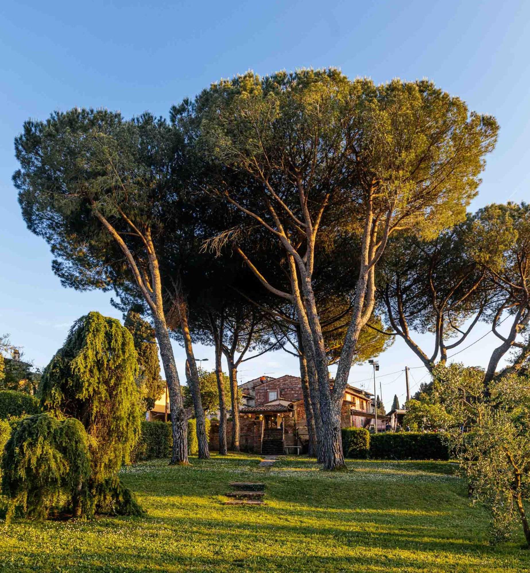 Collebrunacchi B&B San Miniato Exterior photo